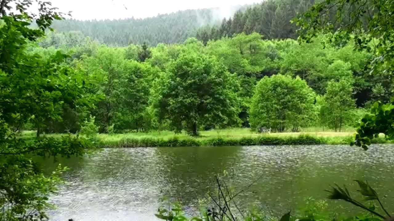 Naturkl&auml;nge: Nieselregen im Salmtal (Abtei Himmerod)