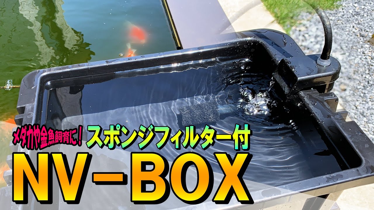 【DIY】メダカ、金魚飼育に「スポンジフィルター付 NV BOX」スマート容器