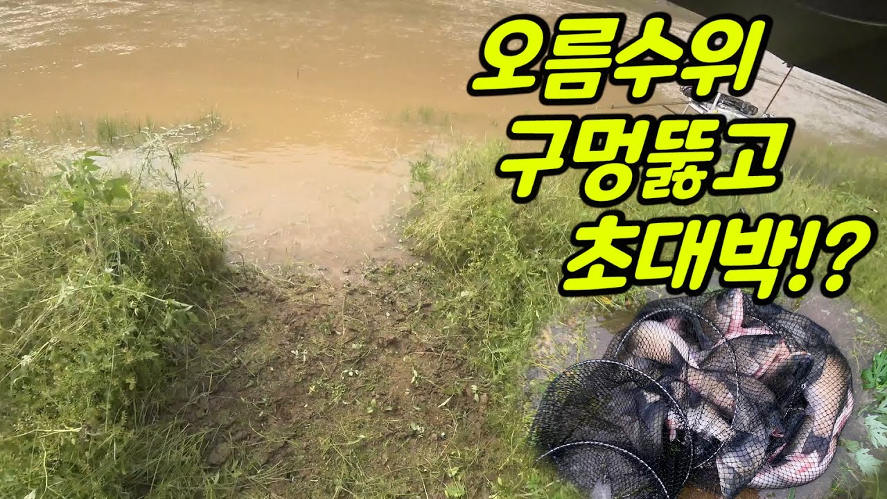 How to make Jackpot in Dam Fishing?