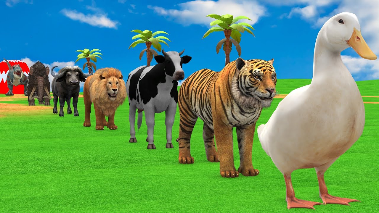 Long Slide Game with Cow Elephant Gorilla Hippopotamus Tiger 3d Animal Game Funny 3d Animals