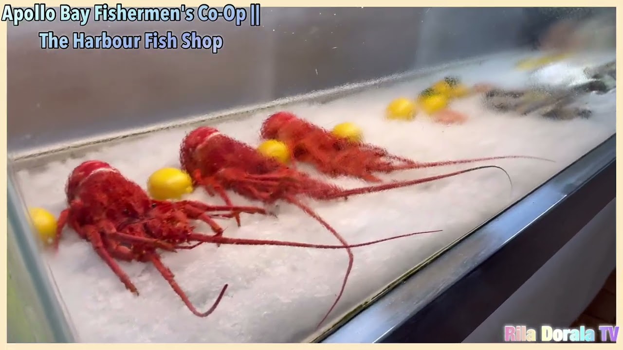Apollo Bay Fishermen's Co-Op || The Harbour Fish Shop || Best Fish & Chips on the Great Ocean Road