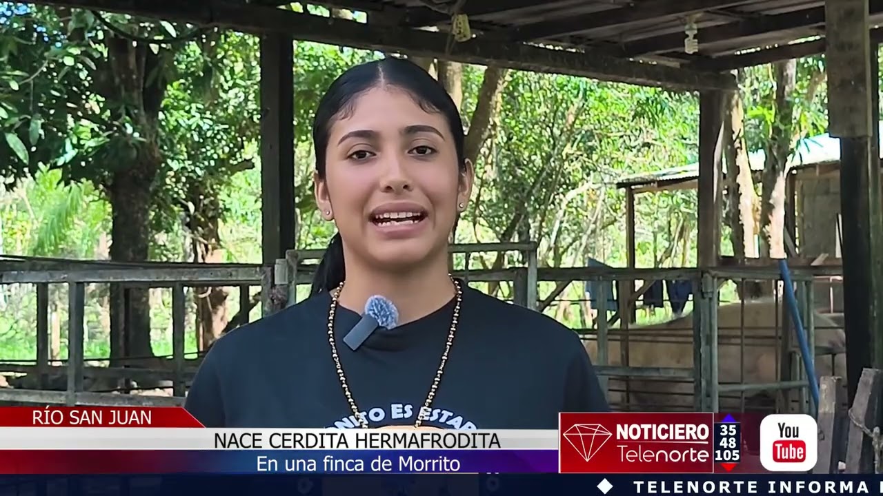 Nace cerdita hermafrodita en una finca de El Morro #Nicaragua