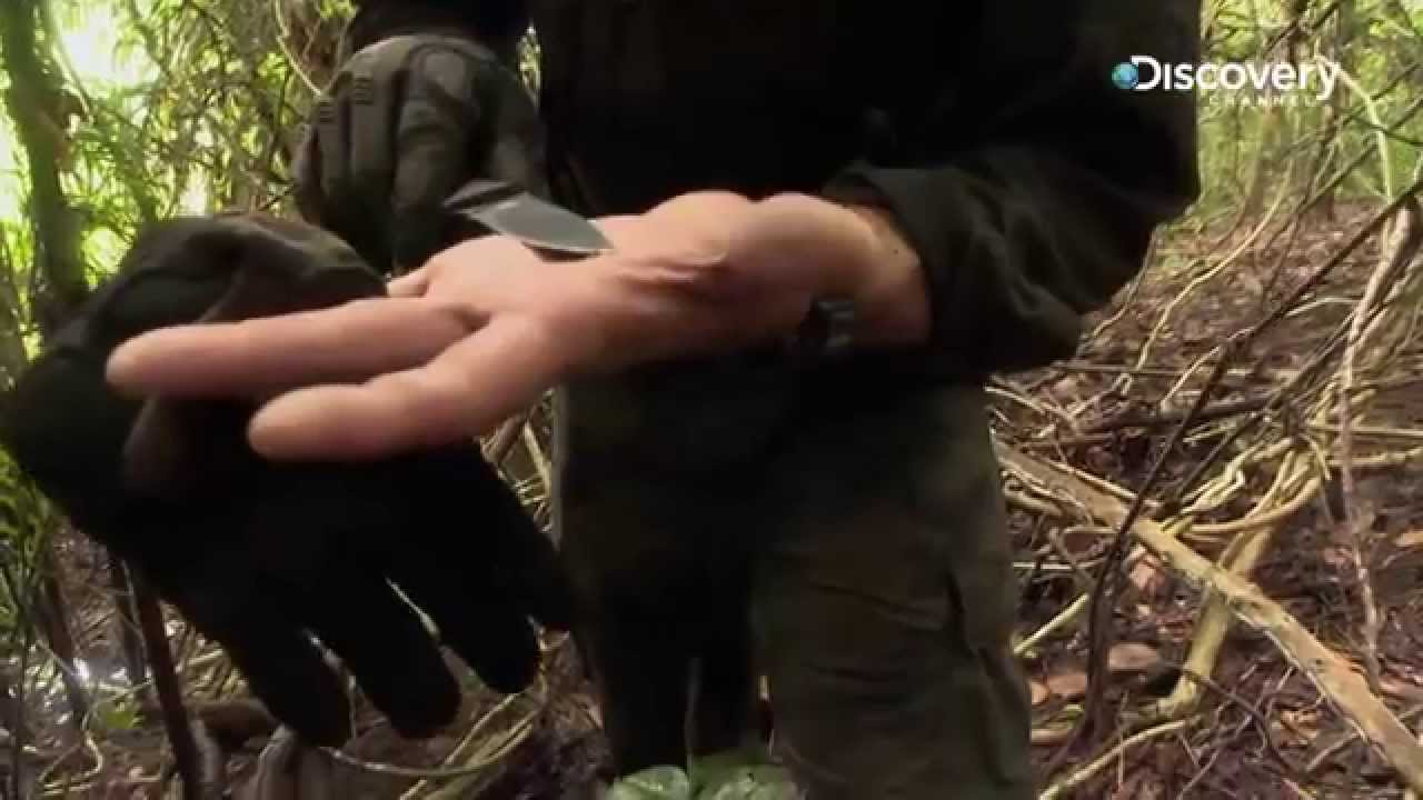 Ep04 Black Palm Needles | Manhunt