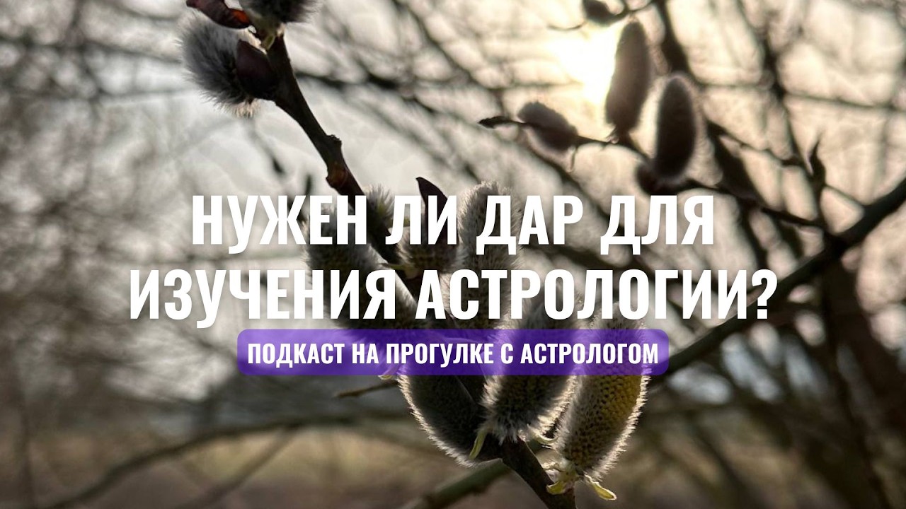Дар понимать Астрологию.