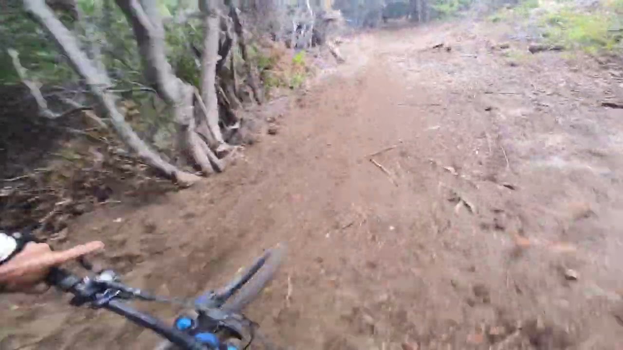 MTB Trails Bariloche Chapita