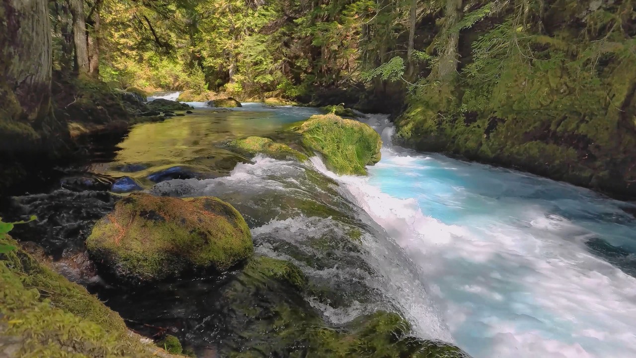 Healing River Currents 🍃 Relaxing Music for Sleep & Calm