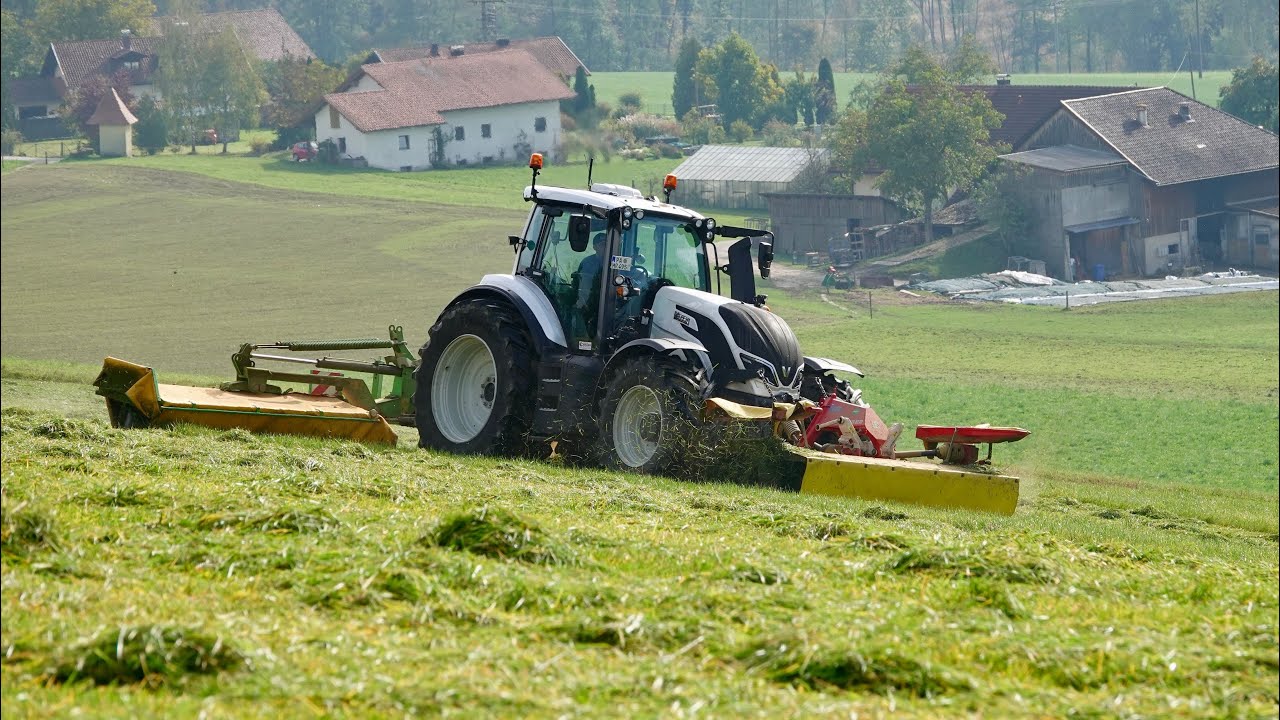 Letzter Schnitt 2020