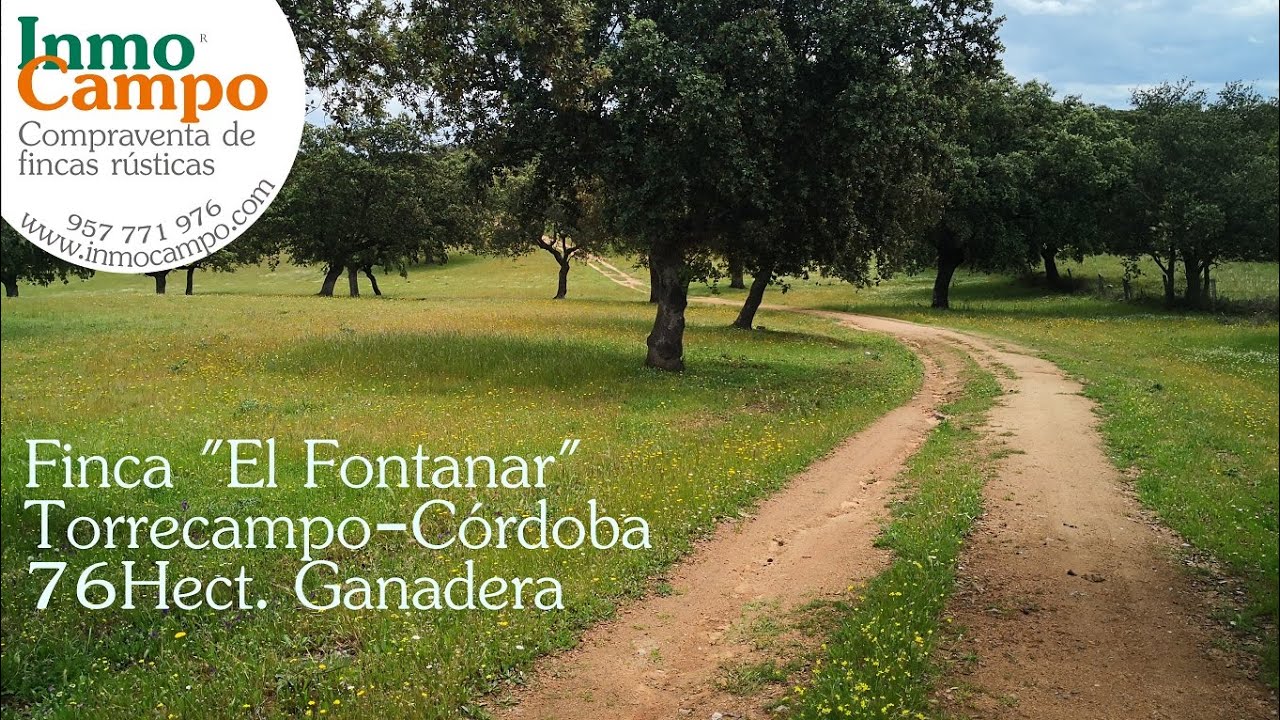 Finca El Fontanar  en 