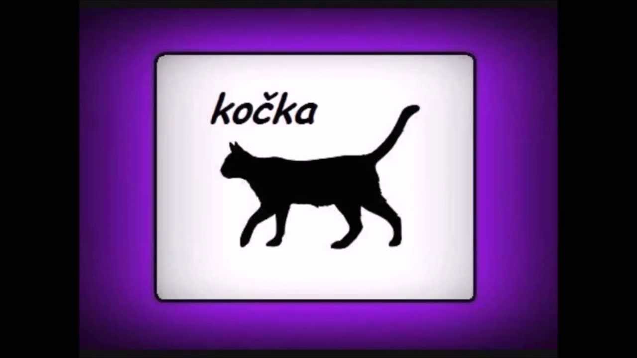 Zvuky zvířat - poslechová činnost