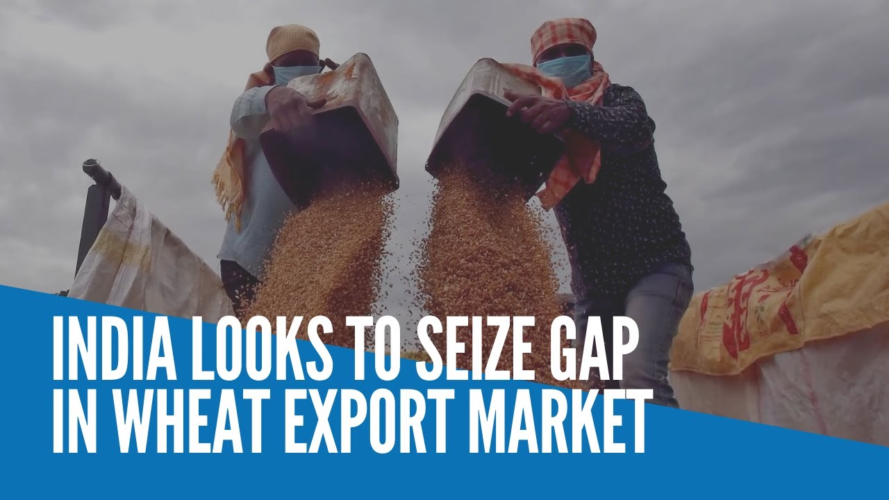 India looks to seize gap in wheat export market