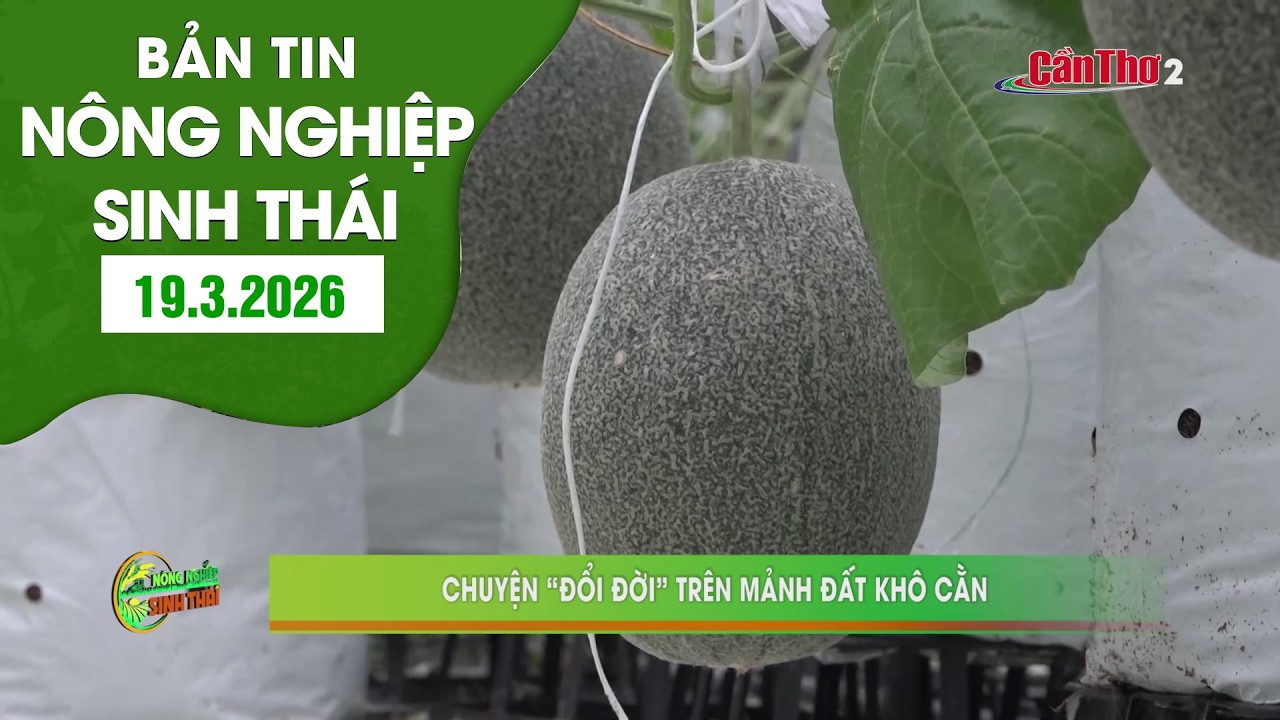 Chuyện 