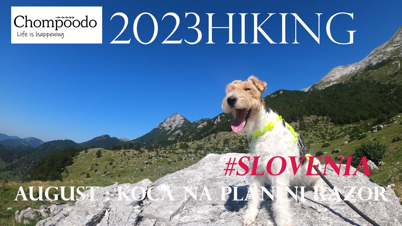 Koča na planini Razor : #slovenia