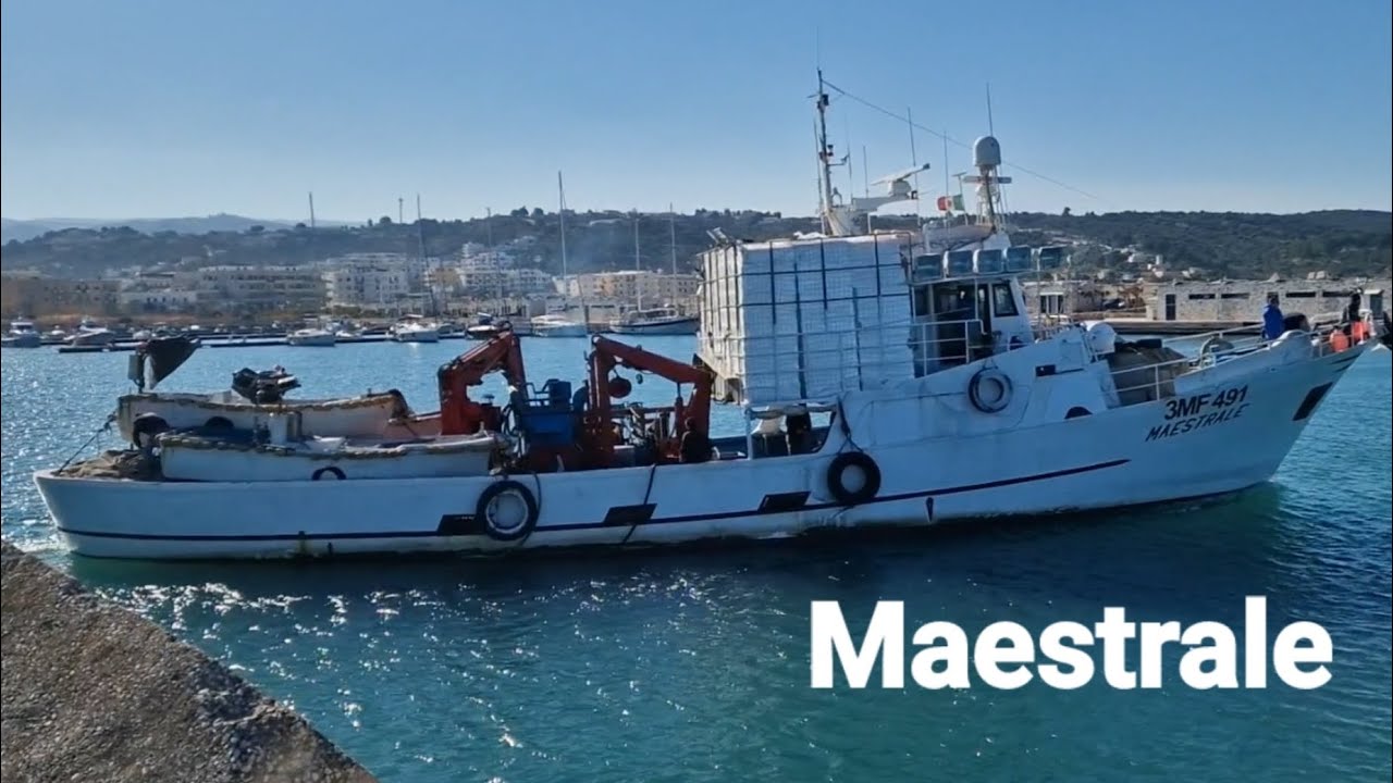 Imbarcazione Maestrale, pesca al pesce azzurro armatore Matteo Colella.