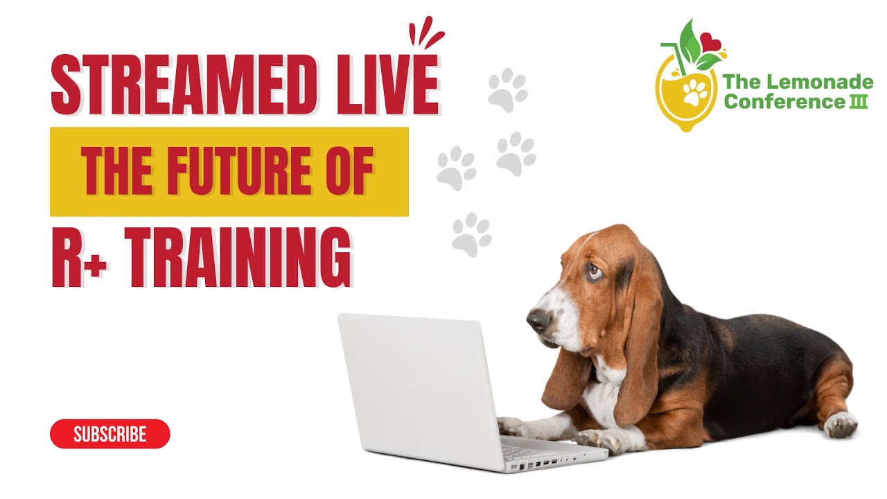 The Lemonade Conference 2022 Lunch Panel: The Future of R+ Training