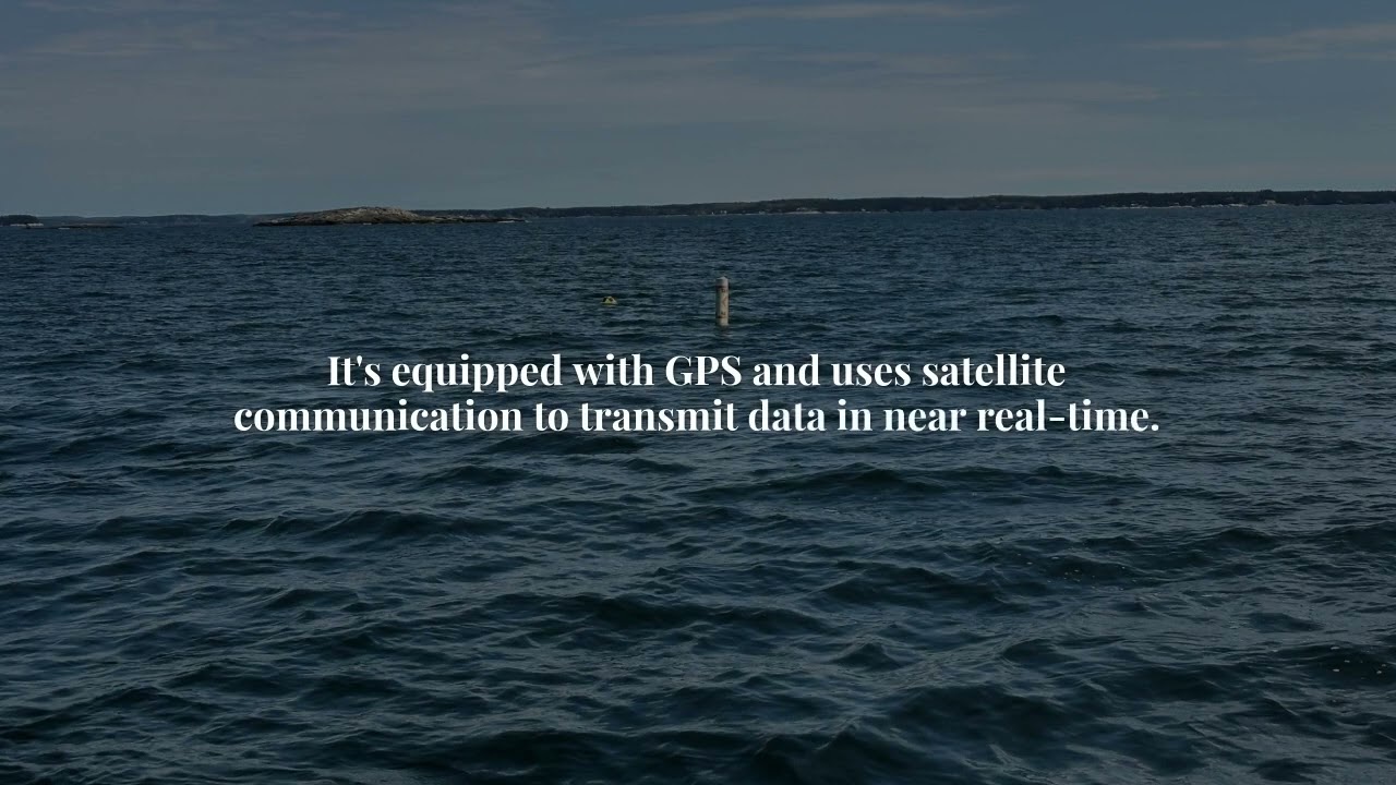 Deploying a SOFAR Spotter Wave Buoy | Real-Time Ocean Monitoring with MARACOOS & OceansMap