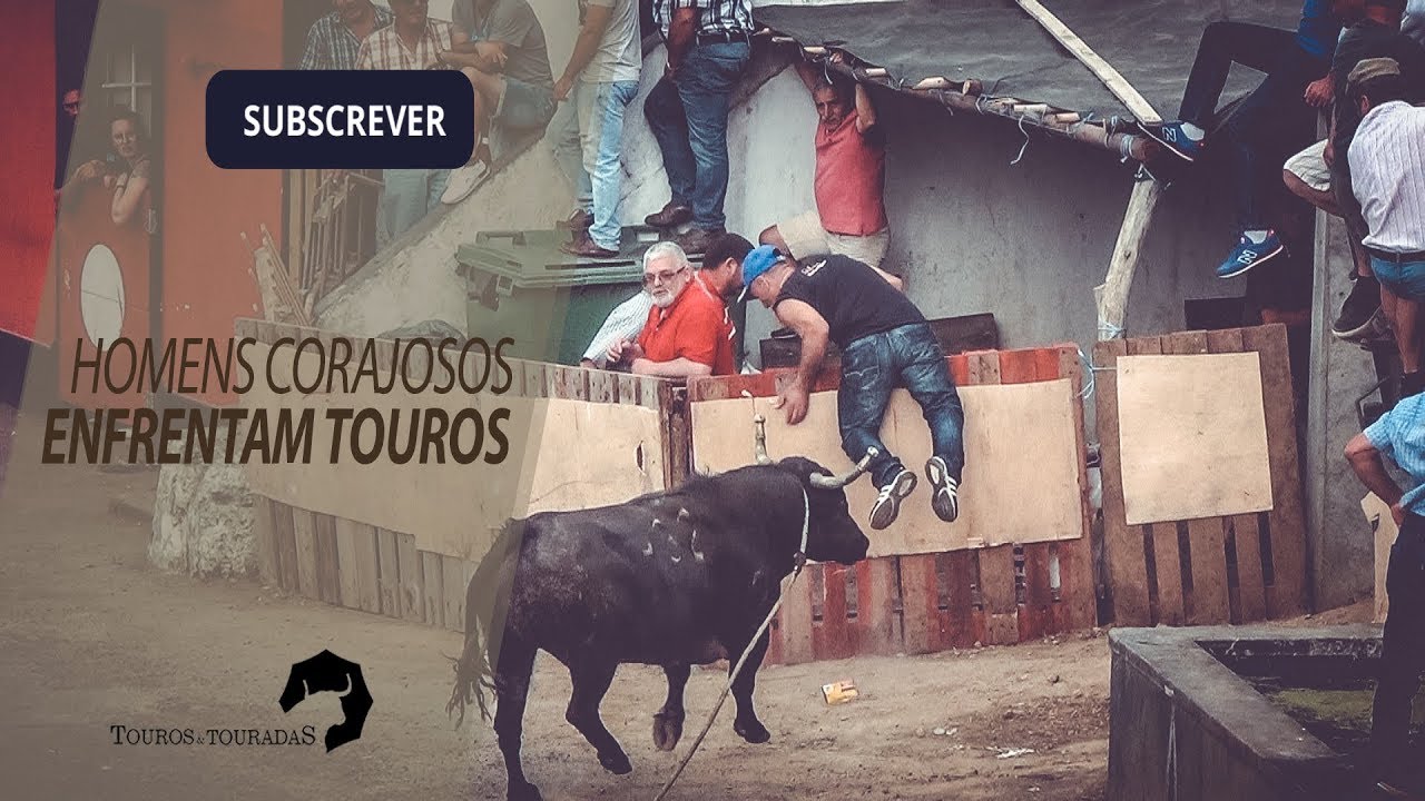 HOMENS CORAJOSOS ENFRENTAM TOUROS