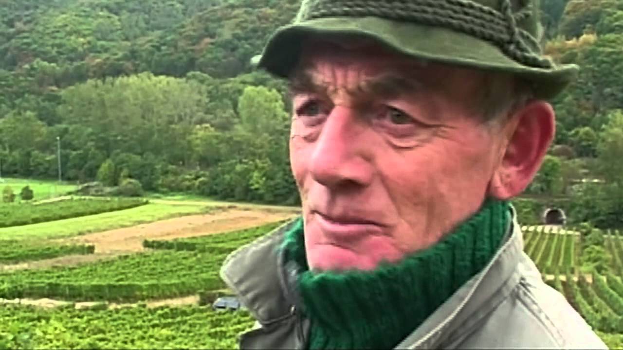 Nahe - German wine-growing region