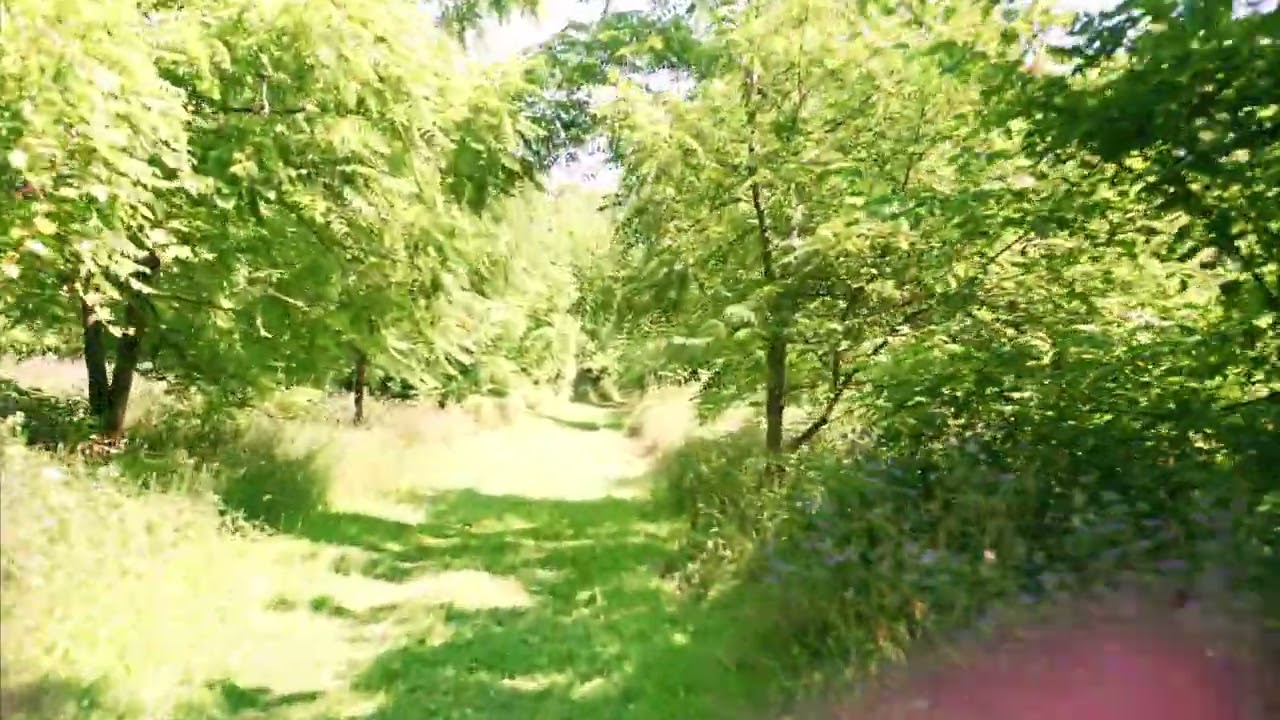 Wayne E. Dannehl National Cross Country Course - 6K Championship Course