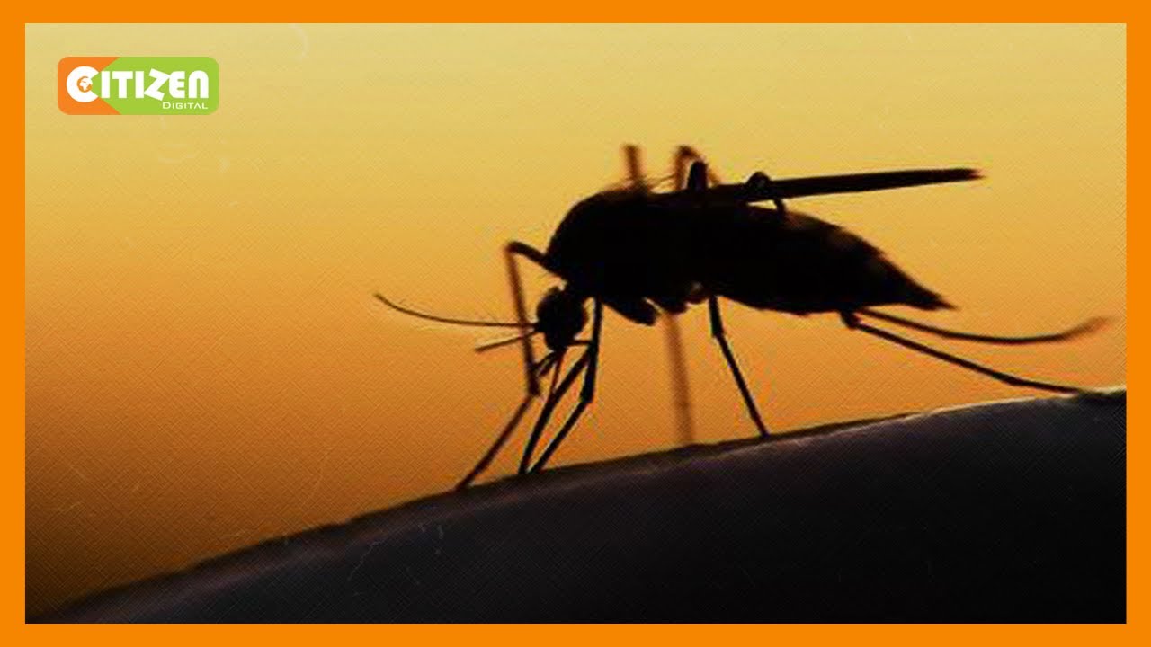 Nandi County records high number of malaria cases