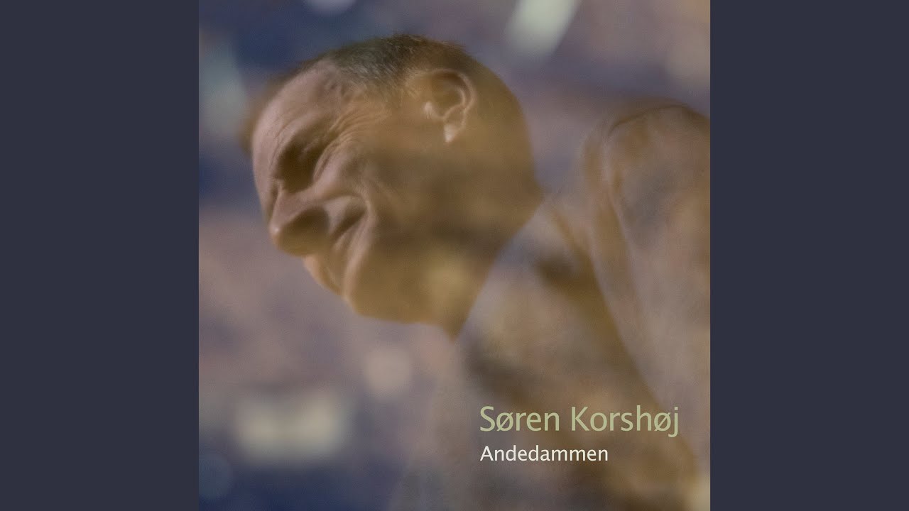 Andedammen