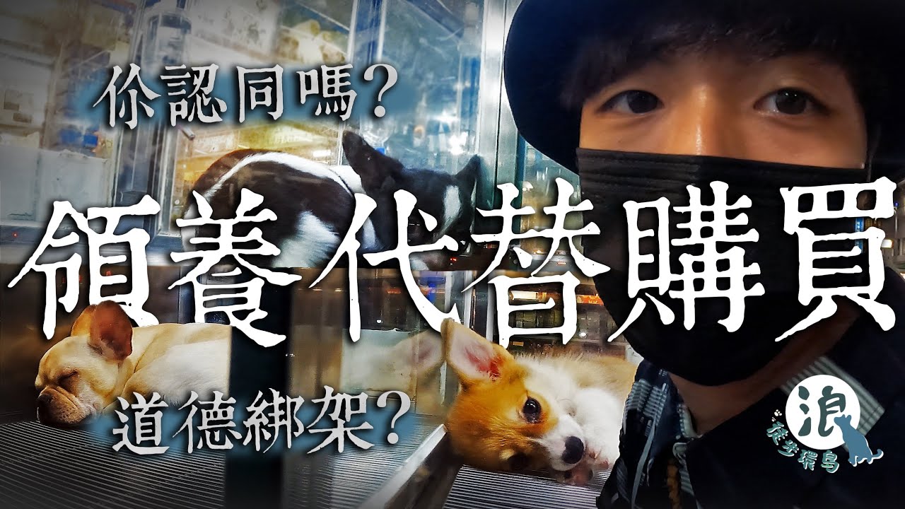 浪浪環島EP.4｜「領養代替購買」是道德綁架嗎？
