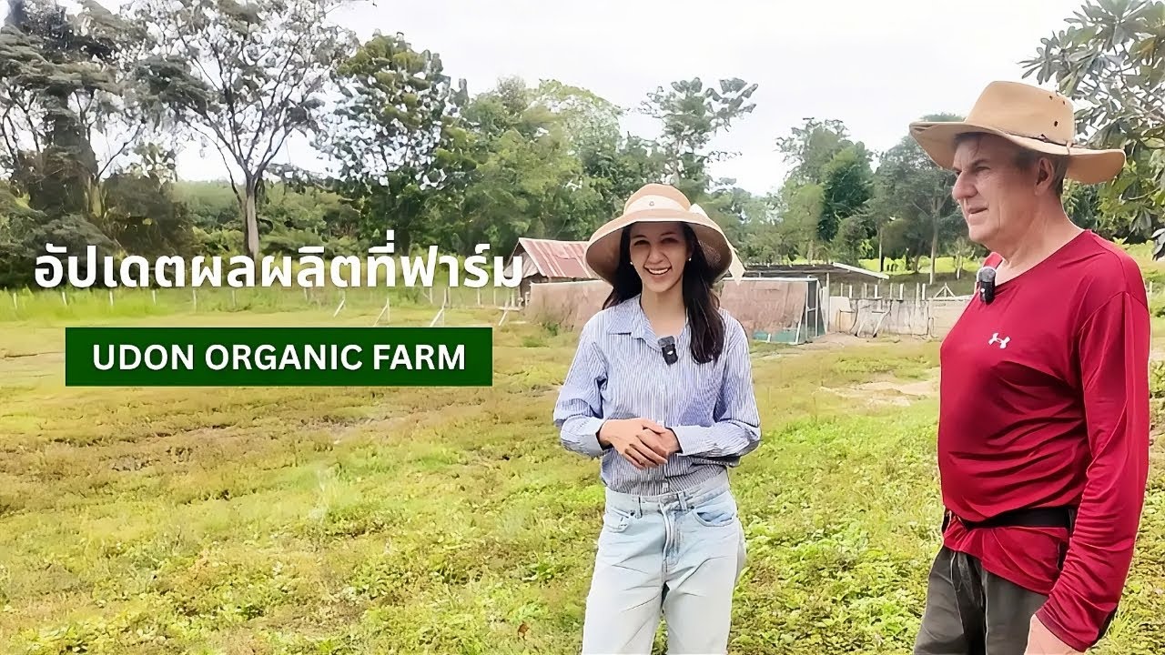 อัปเดตผลผลิตที่อุดรออร์แกนิคฟาร์ม | Udon Organic Farm