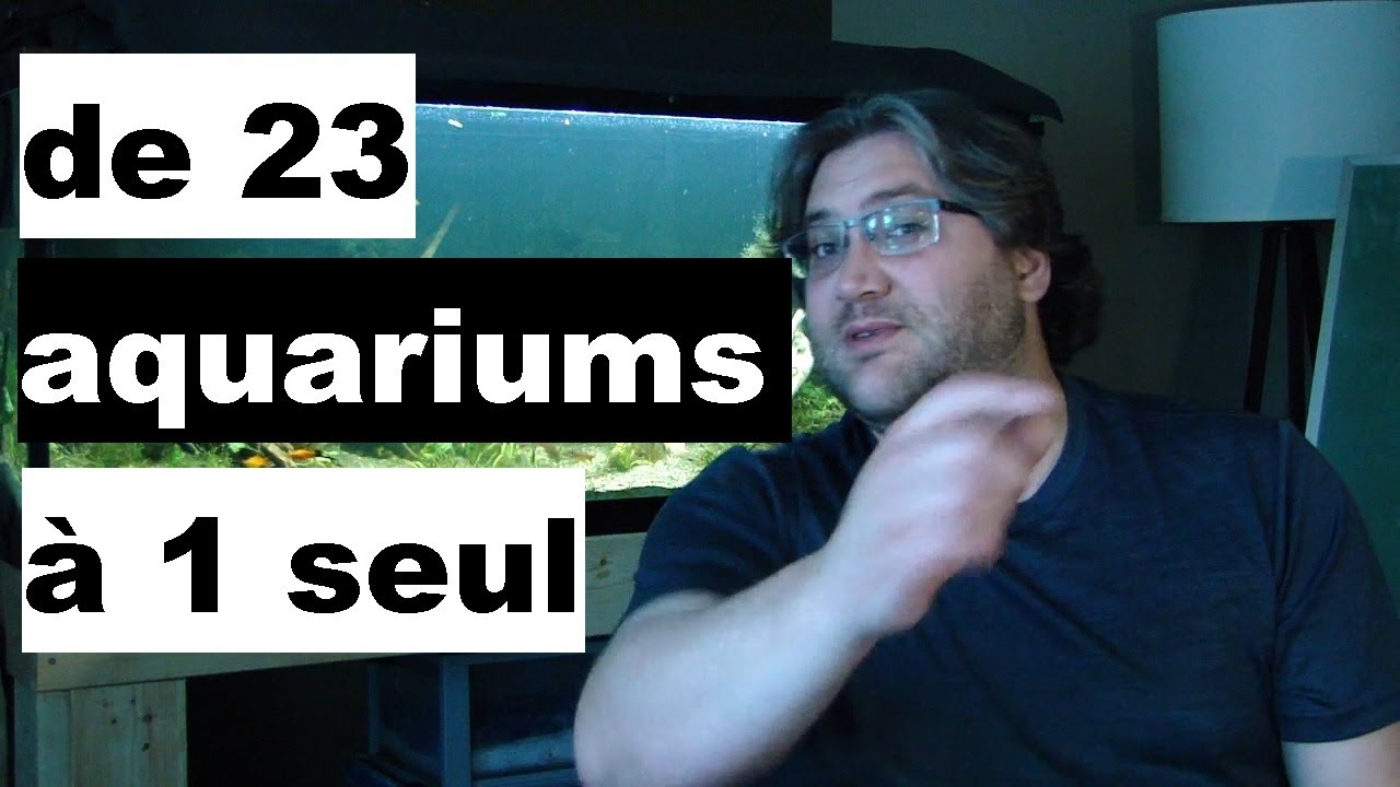 La plus grande maladie des aquariums. Confidences d'un aquariophile.