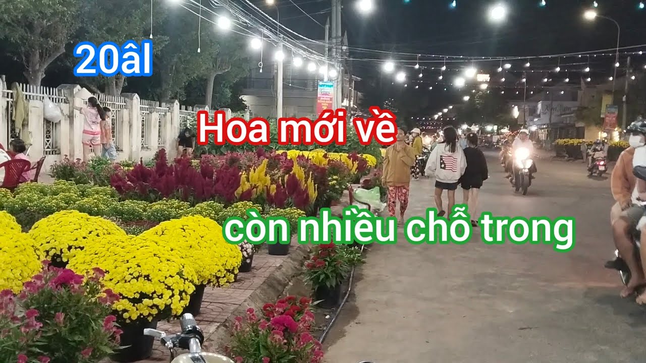 Cập nhật tình hình chợ hoa chợ lầu nay là xã Bắc bình hoa mới về nên còn nhiều chỗ trống 