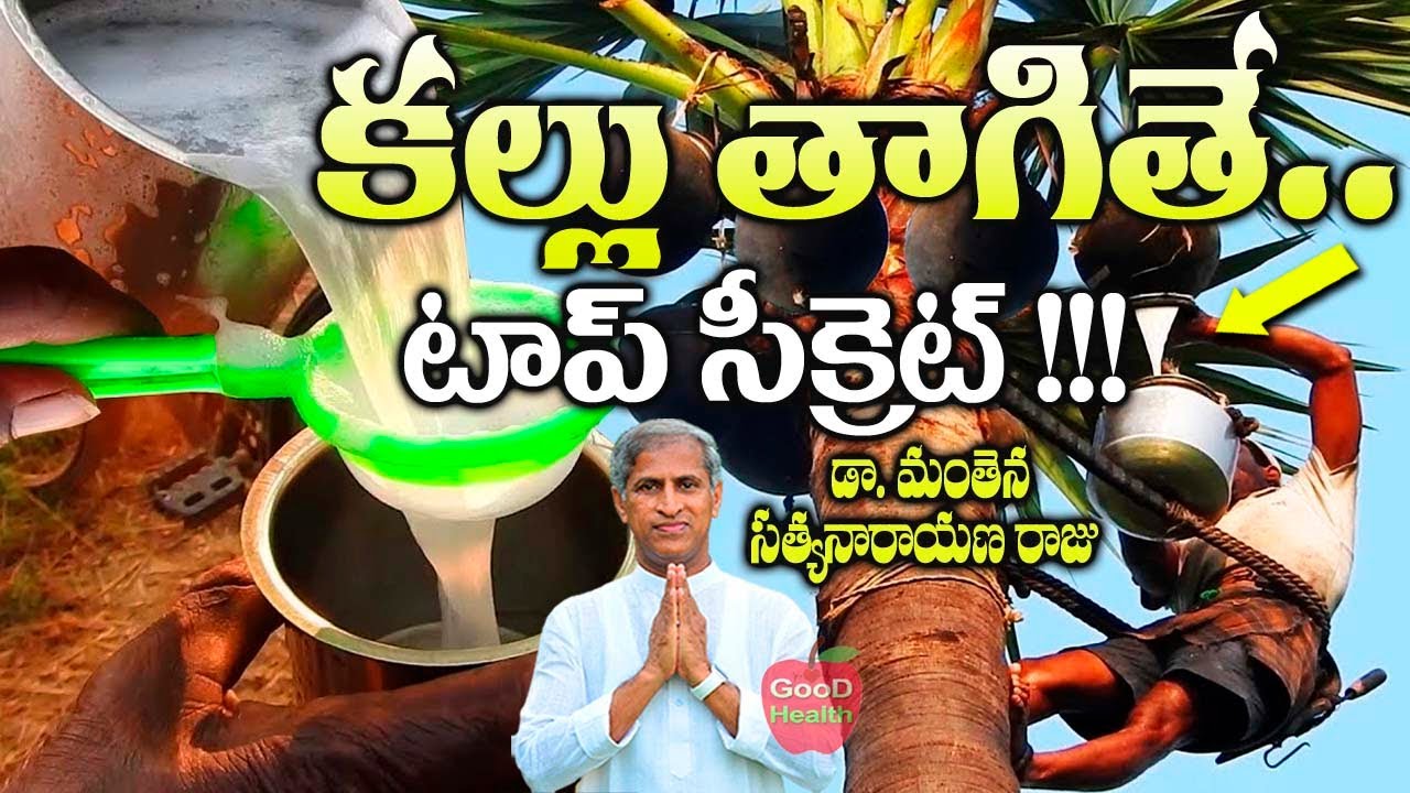 కల్లు తాగితే మంచిదేనా?| Is it Good to Drink Kallu, Dr Manthena Satyanarayana Raju Videos,GOOD HEALTH