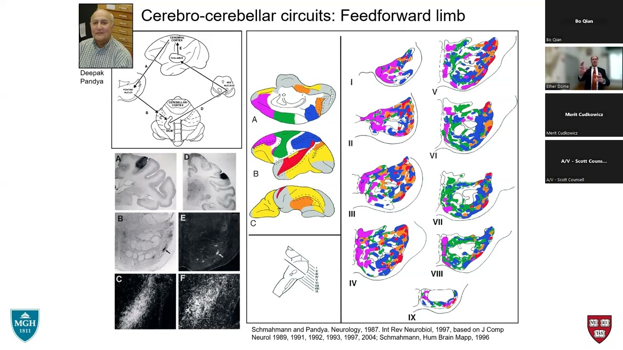 Thursday, November 16, 2023: Cerebellar Function and  Neuropsychiatry by Jeremy Schmahmann, MD