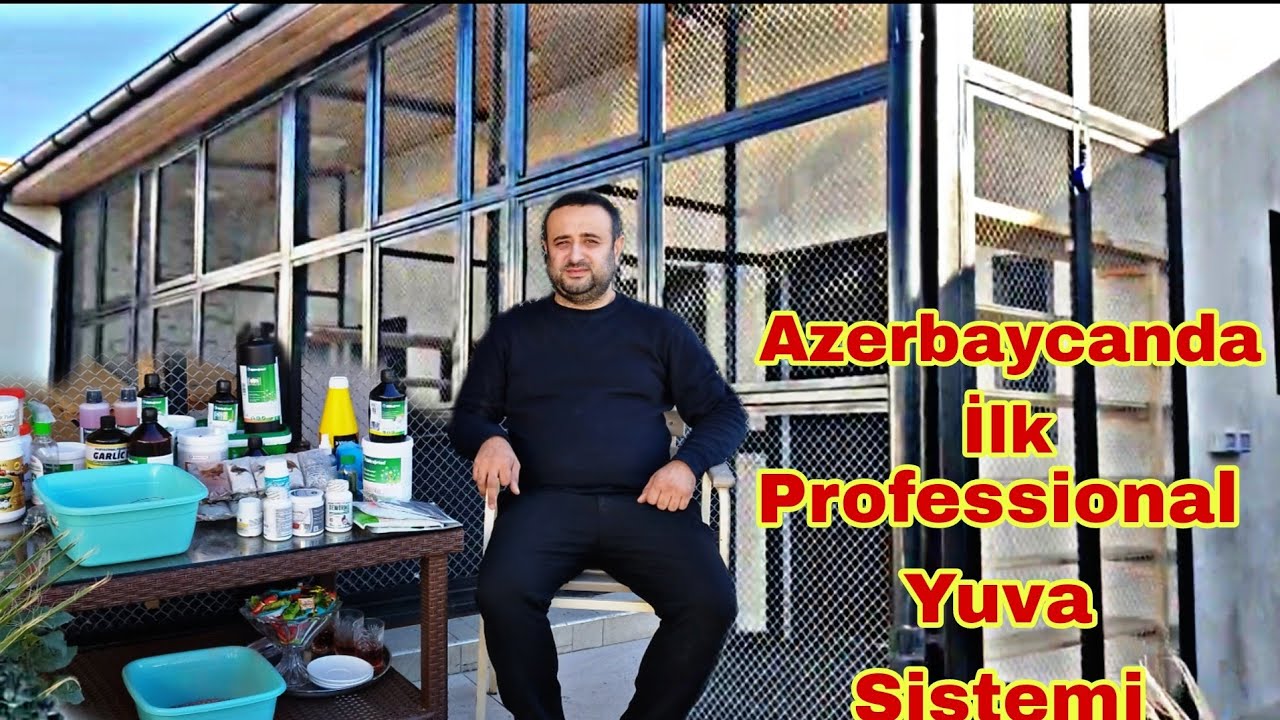 Azərbaycanda İlk Professional Yuva Sistemi. Bakı Göyərçinlerinin İnkişafı Elvin Bilgeh
