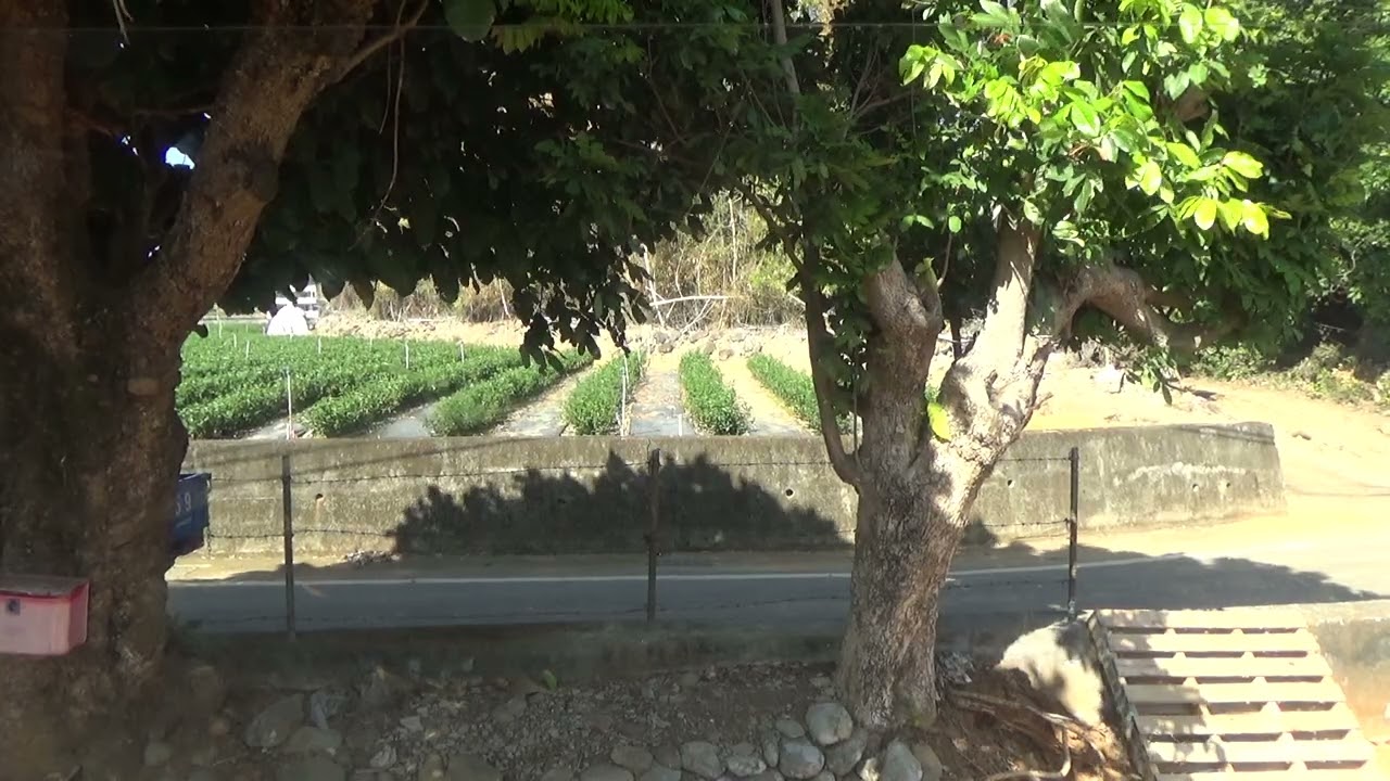 20260204（15）（彰化縣上班）