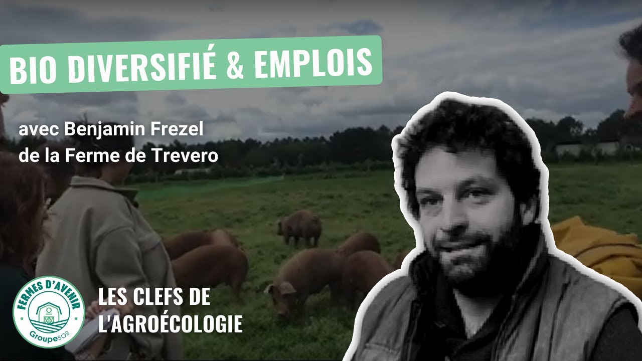 BIO DIVERSIFIE & EMPLOIS avec la ferme de Trevero