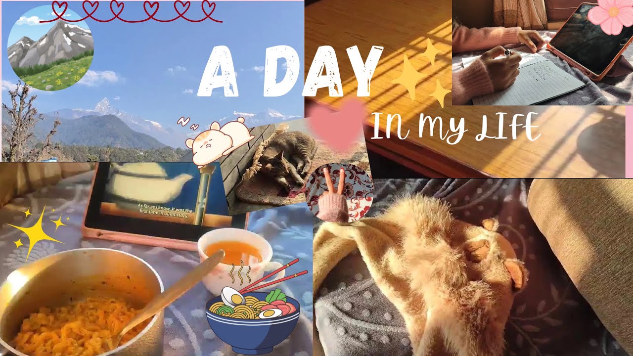 A day in my life🫶 //  lovely tullip🌷