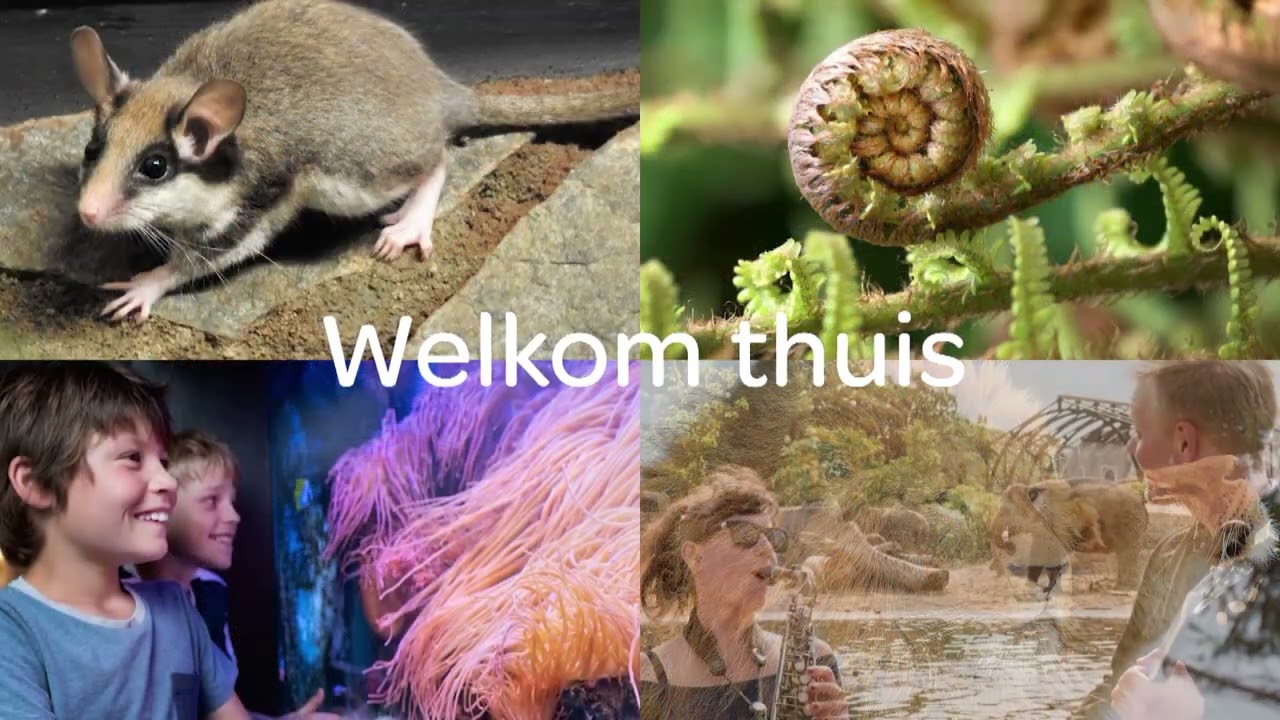 Welkom bij ARTIS