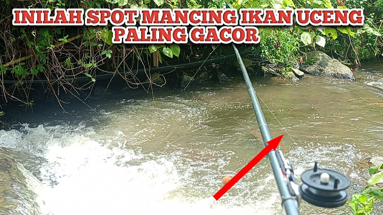 SPOT MANCING IKAN UCENG PALING NOL NIL ⁉️ MANCING IKAN UCENG DI SISA LUAPAN SUNGAI TERNYATA GACOR 