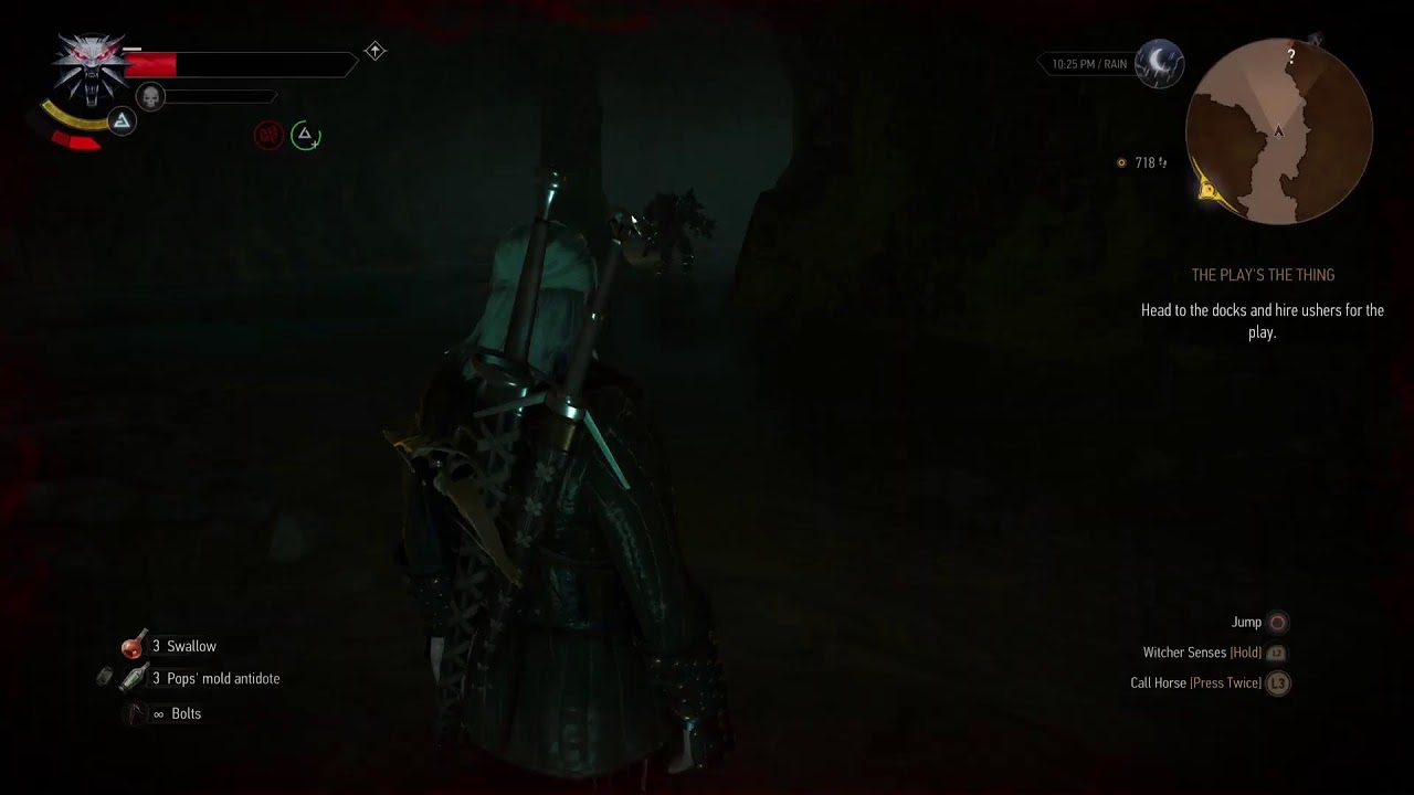 Witcher 3 wild hunt