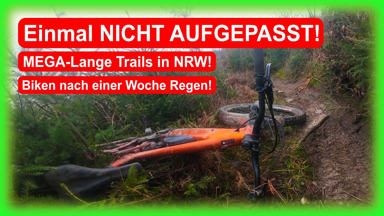 Win:Win | Mit Andrew auf seinen Hometrails | Flowig ohne Ende und EINMAL NICHT AUFGEPASST ...