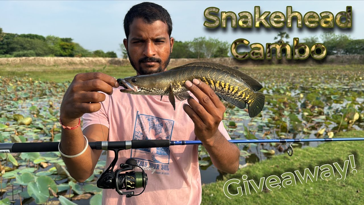 Lucana Tornado Reel,Diawa Jupiter Safari Rod Giveaway From @jrsafishing Tackles | Fishing Combo