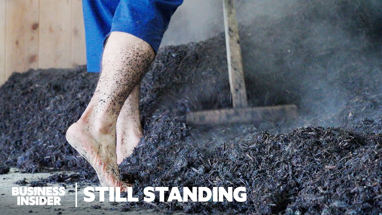 How Japan's 800-Year-Old Indigo Dyeing Process Is Still Standing | Still Standing | Business Insider