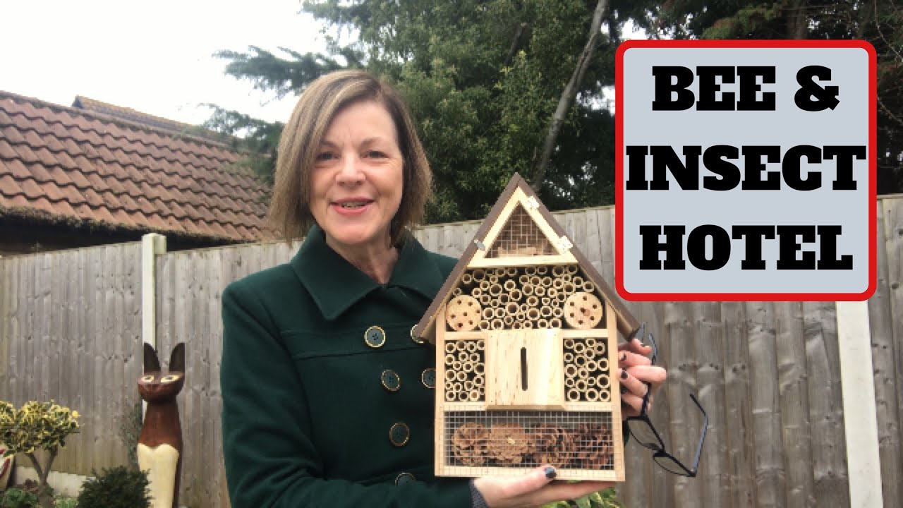 Bee & Insect Hotel