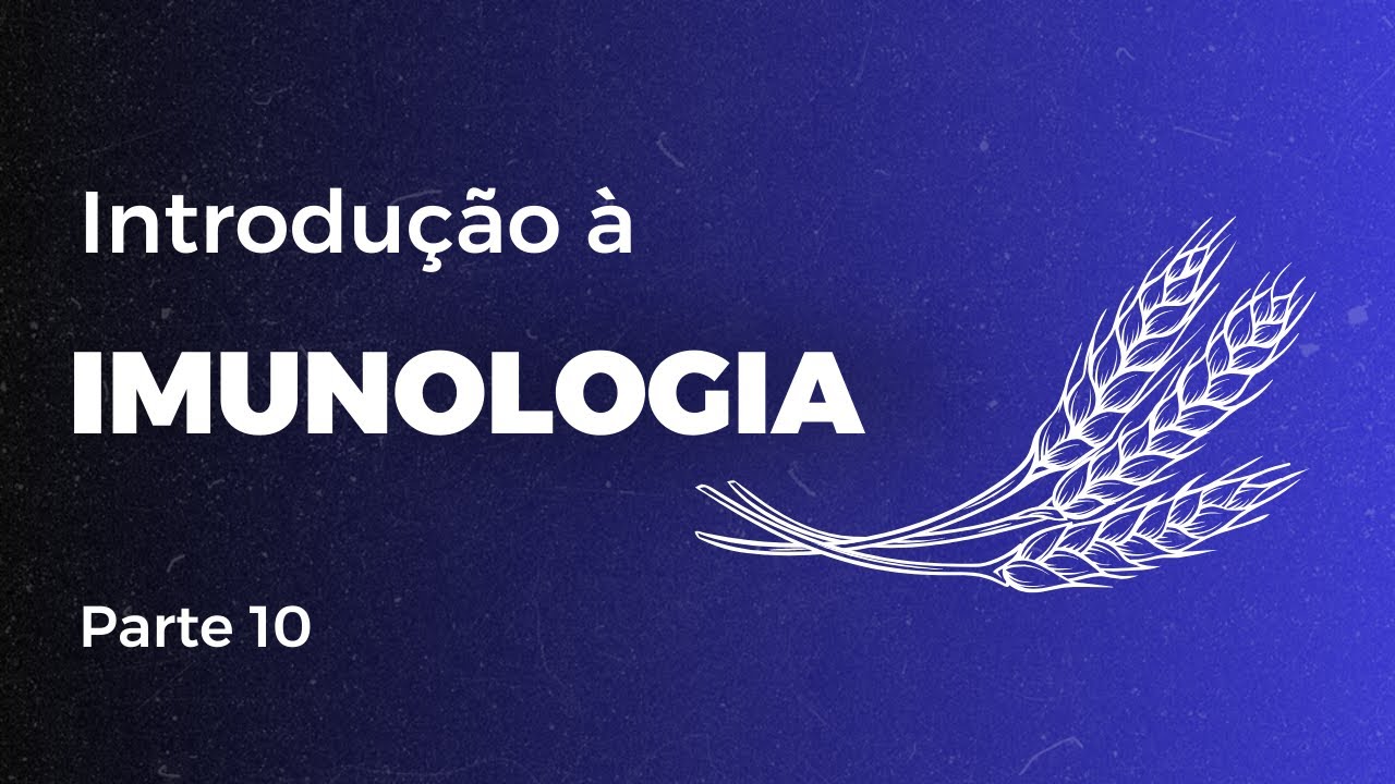 Academia da Vida - Aula 15