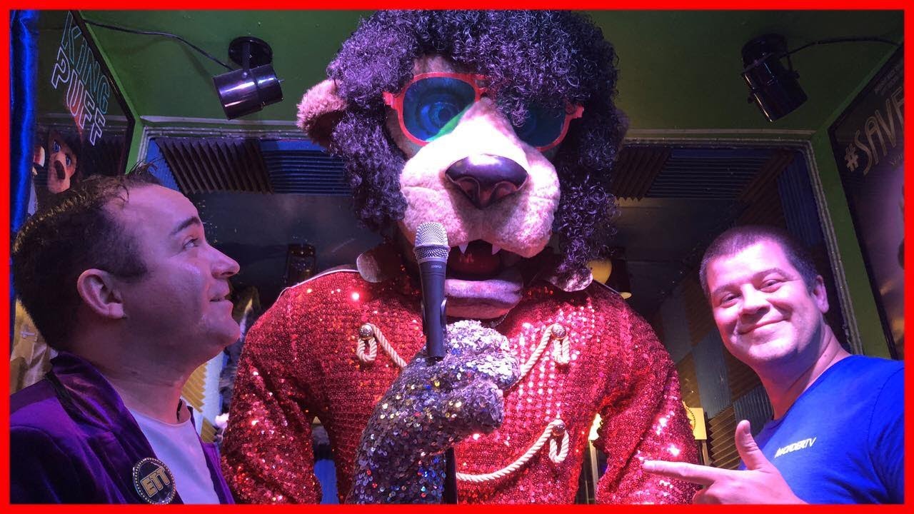 King Kat is BACK - Full Video on IWonder TV!