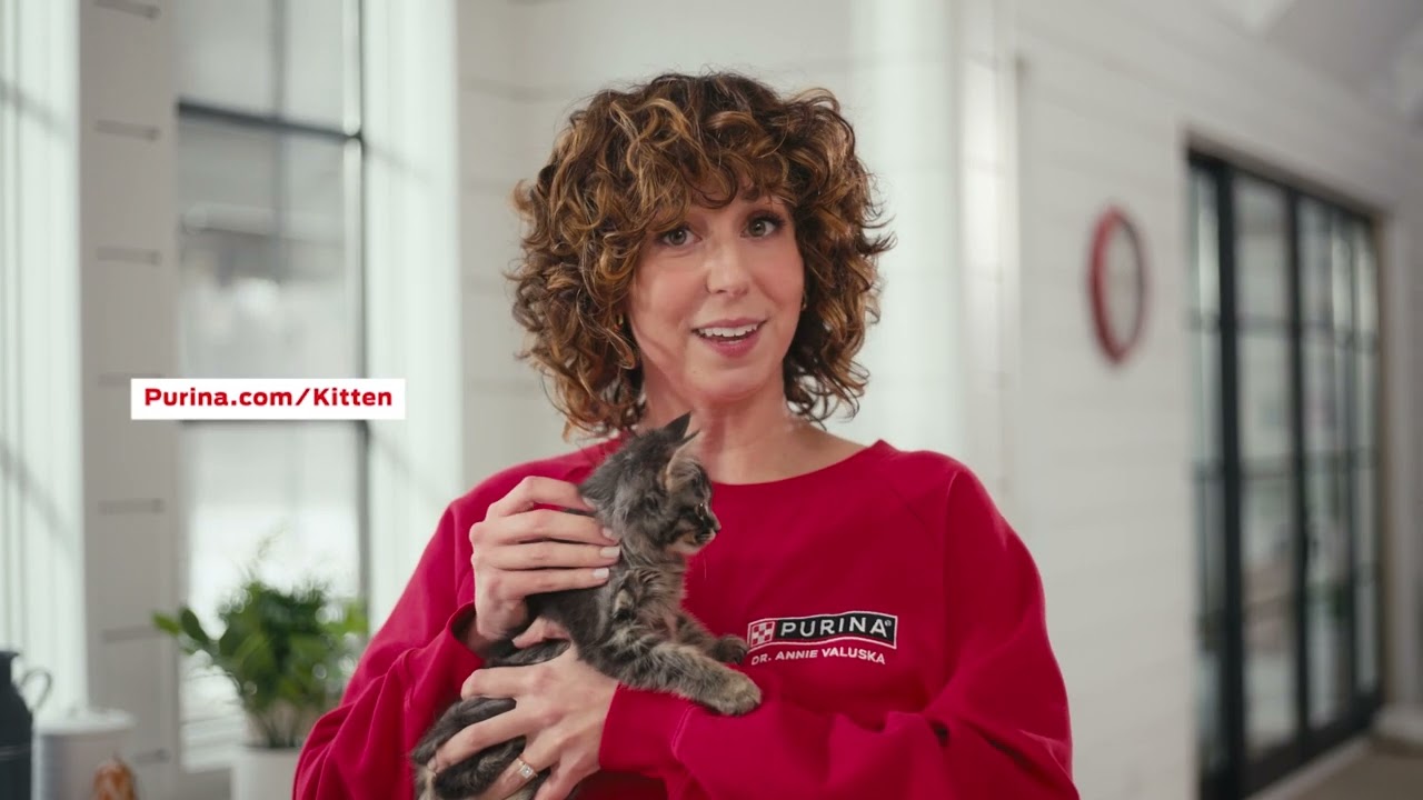 Dr. Annie's #1 New Kitten Essential? Love.