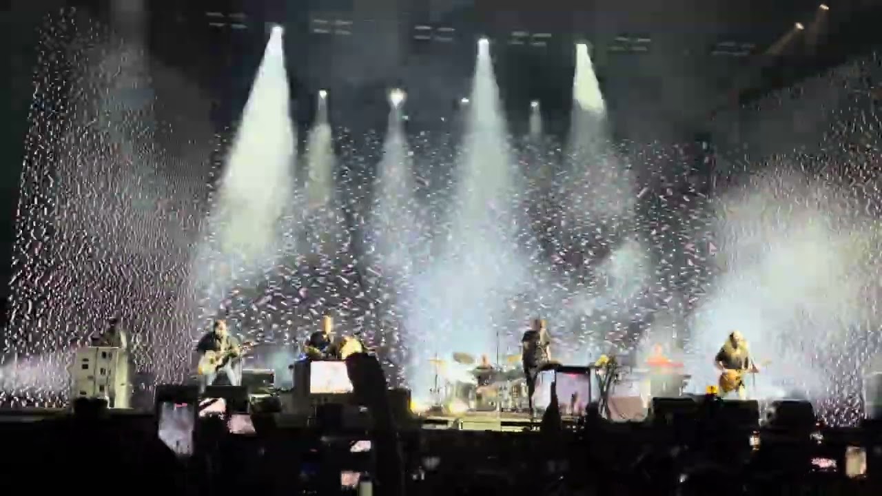 My Chemical Romance (15)