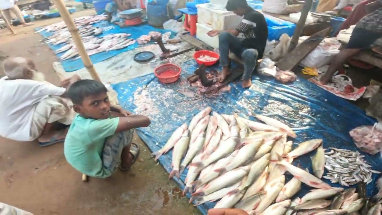 অসহায় মানুষের পাশে থাকতে চাই।