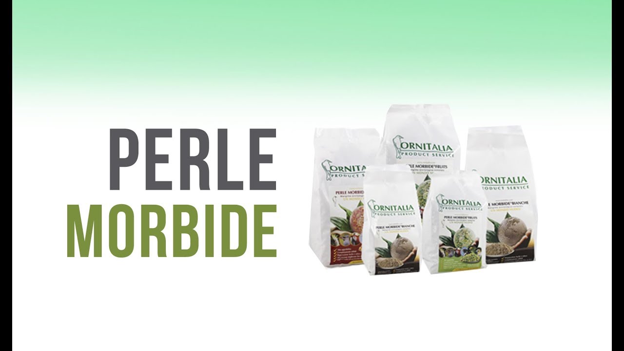&iquest;C&oacute;mo preparar la perla m&oacute;rbida para nuestros p&aacute;jaros?(Ornitalia). Mercasystems.com