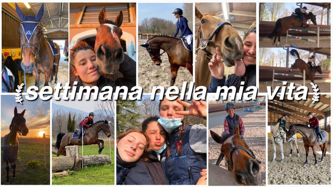 Una settimana nella mia vita! | Vlog corso istruttori e lavoro | Pernilla Iperti