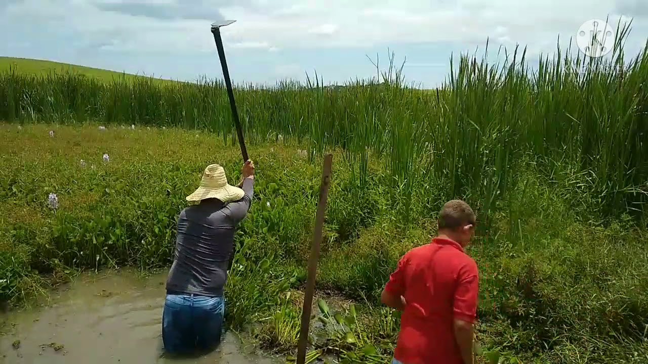 COMO LIMPAR LAGOA COM ENXADA ENXADÃO E GARFO DE JARDIM!!assista e veja o resultado desse trabalho!