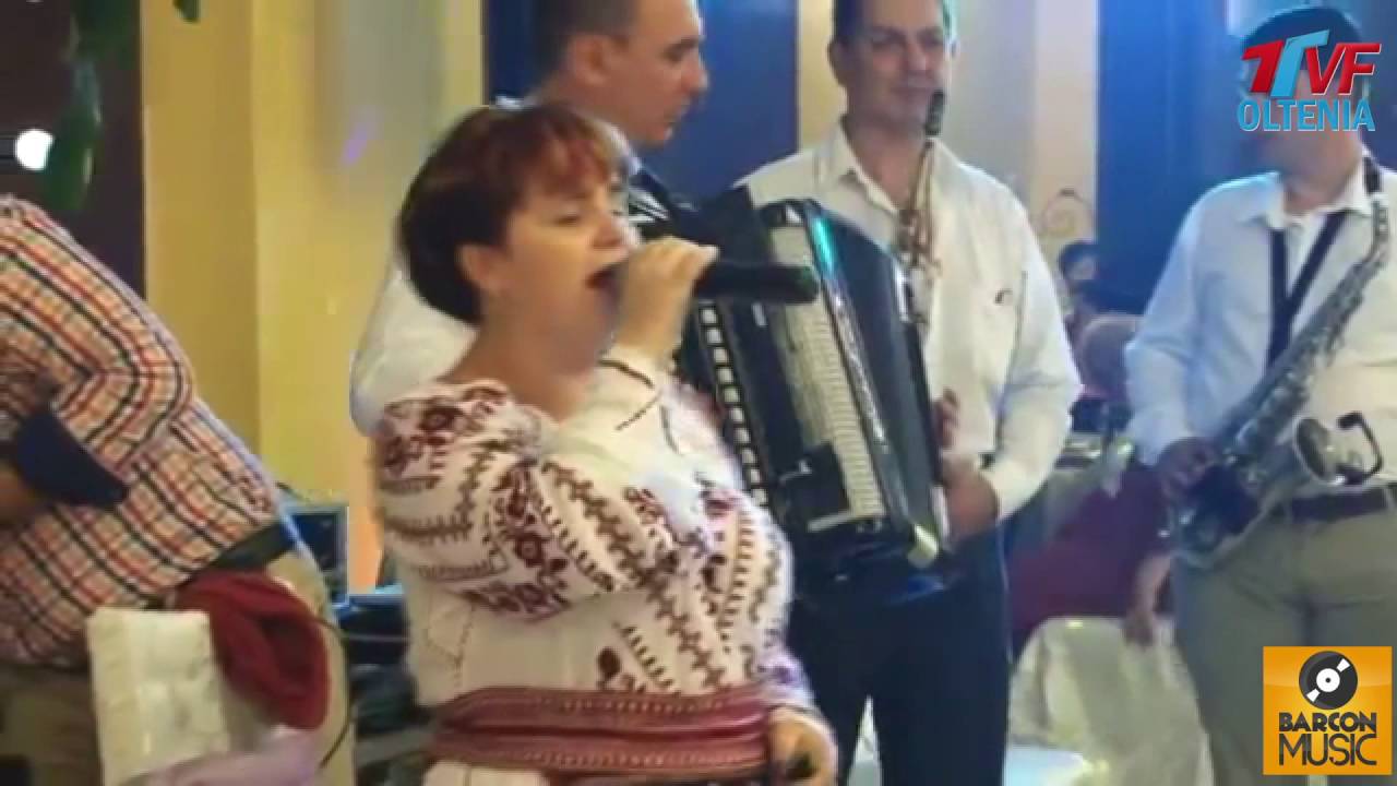 VICA GRADINARU SUPER COLAJ HORE SI SARBE MUZICA DE PETRECERE
